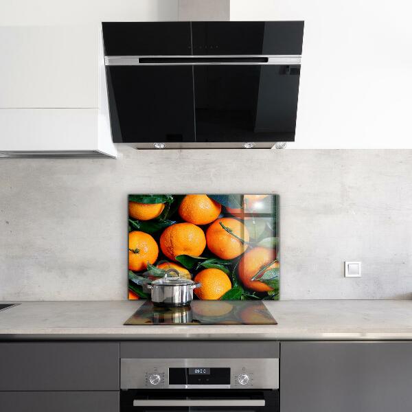 Kitchen wall panels Juicy sicilian oranges