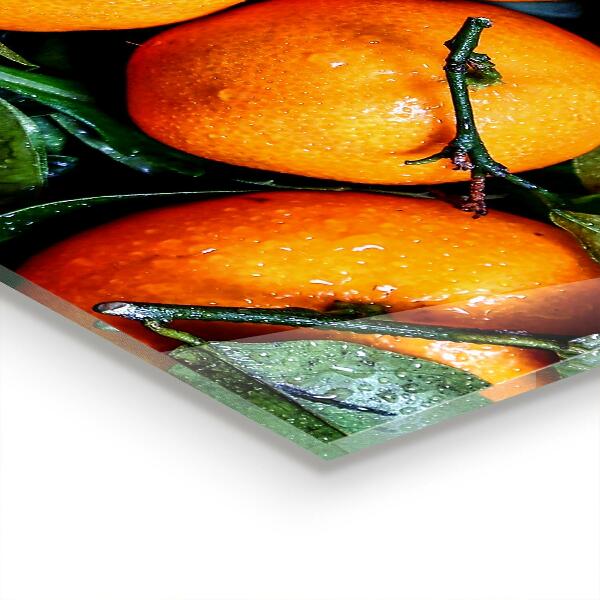 Kitchen wall panels Juicy sicilian oranges
