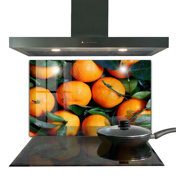 Kitchen wall panels Juicy sicilian oranges
