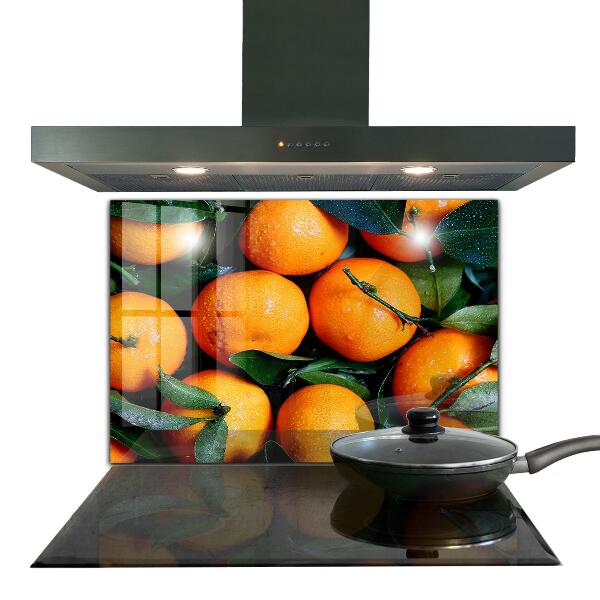 Kitchen wall panels Juicy sicilian oranges