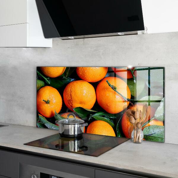 Kitchen wall panels Juicy sicilian oranges