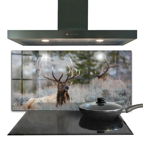 Kitchen wall panels Deer wildlife