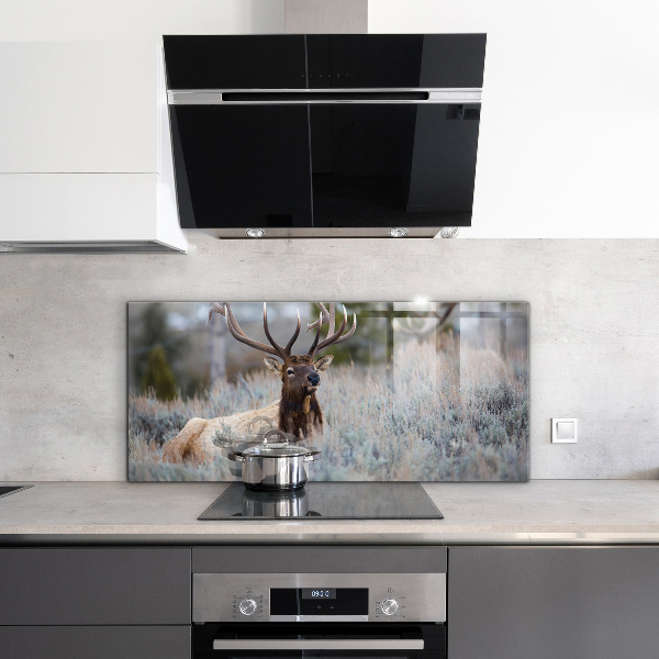 Kitchen wall panels Deer wildlife