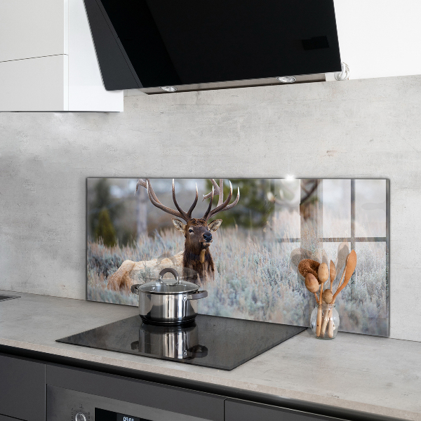 Kitchen wall panels Deer wildlife
