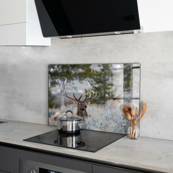 Kitchen wall panels Deer wildlife