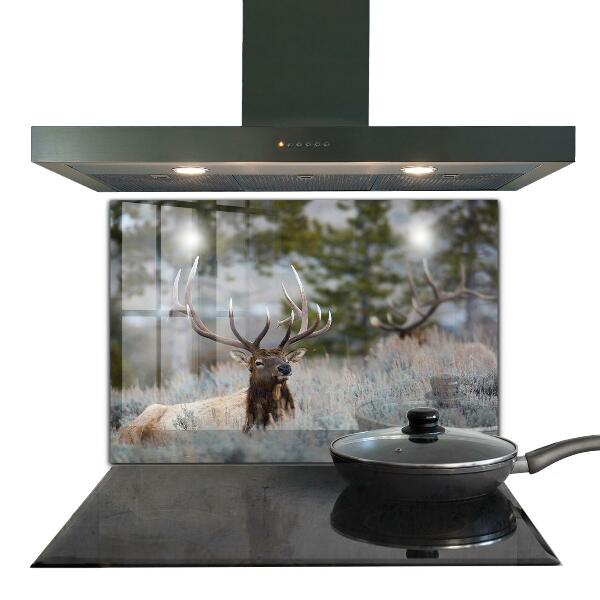 Kitchen wall panels Deer wildlife