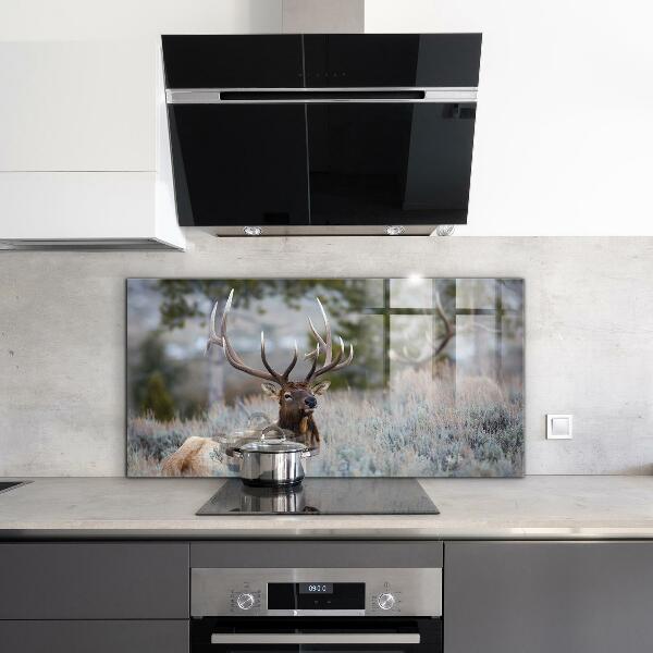 Kitchen wall panels Deer wildlife