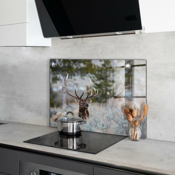 Kitchen wall panels Deer wildlife