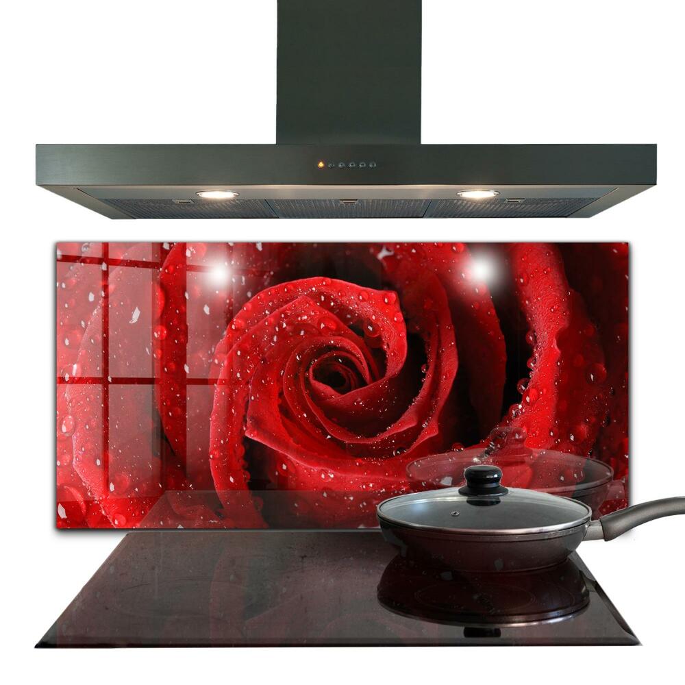 Kitchen wall panels Dew drops on a red rose