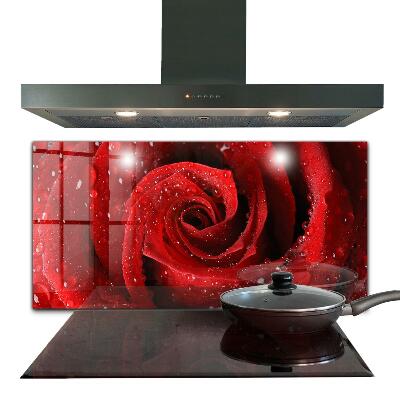 Kitchen wall panels Dew drops on a red rose
