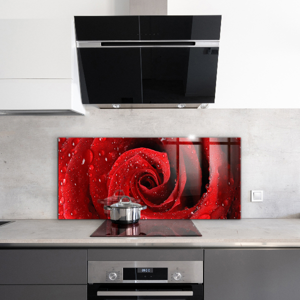 Kitchen wall panels Dew drops on a red rose