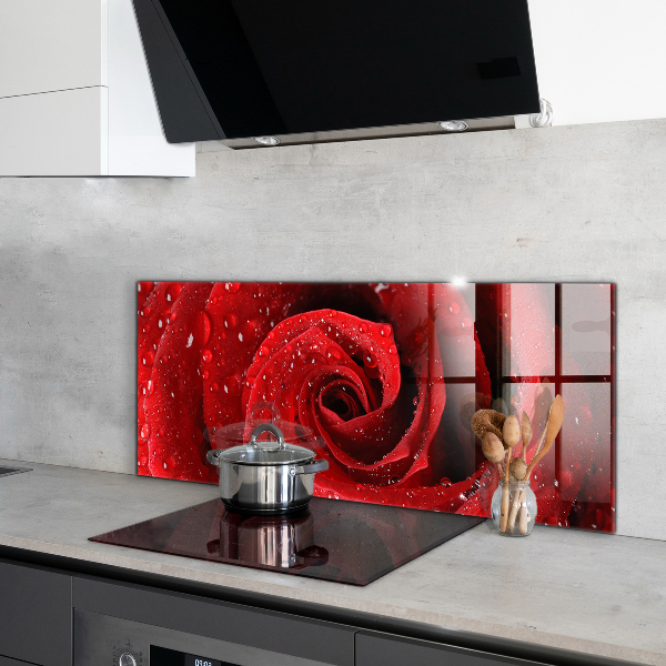 Kitchen wall panels Dew drops on a red rose