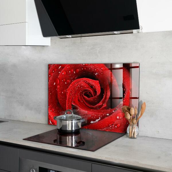 Kitchen wall panels Dew drops on a red rose