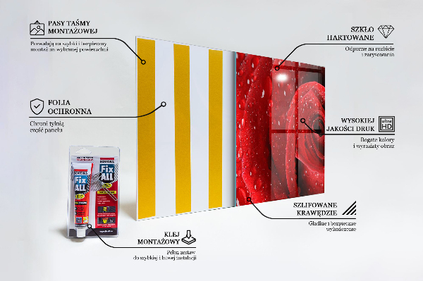 Kitchen wall panels Dew drops on a red rose