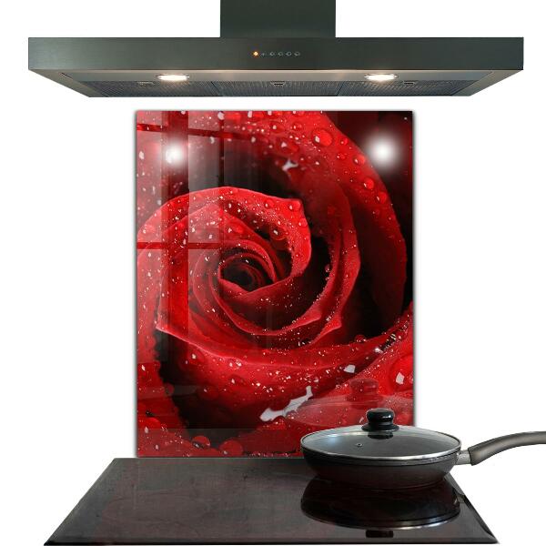 Kitchen wall panels Dew drops on a red rose