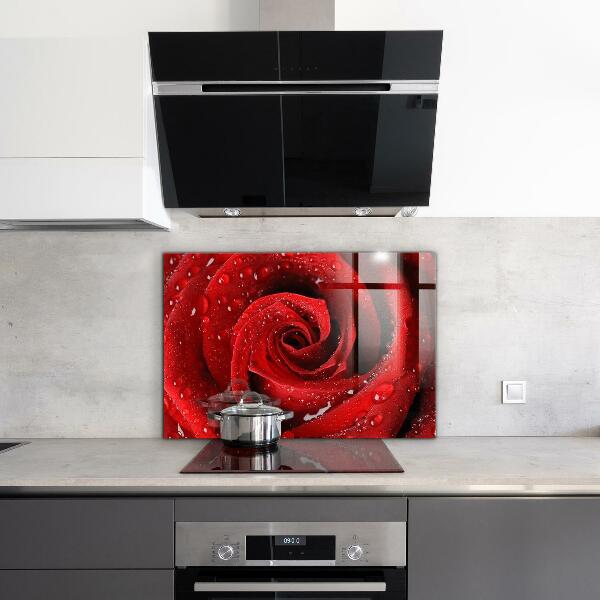 Kitchen wall panels Dew drops on a red rose