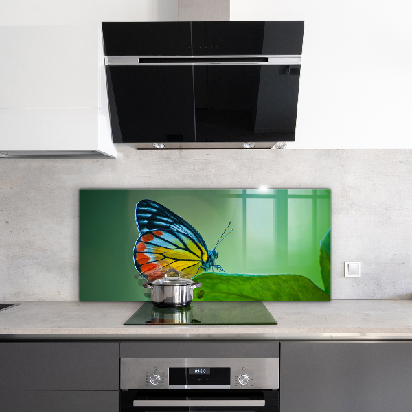 Kitchen wall panels Butterfly resting on a leaf
