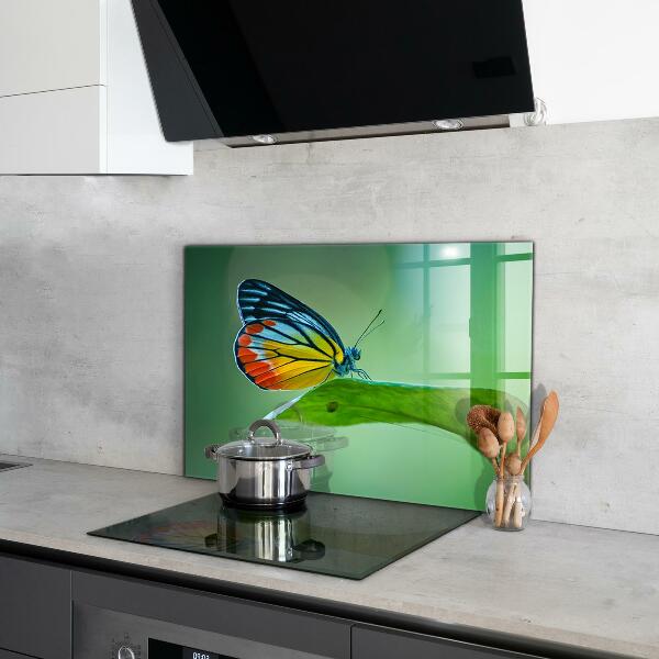 Kitchen wall panels Butterfly resting on a leaf