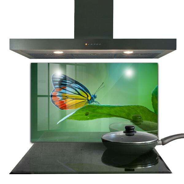 Kitchen wall panels Butterfly resting on a leaf