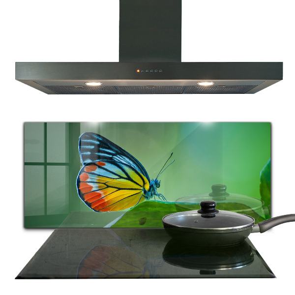 Kitchen wall panels Butterfly resting on a leaf