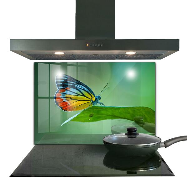 Kitchen wall panels Butterfly resting on a leaf
