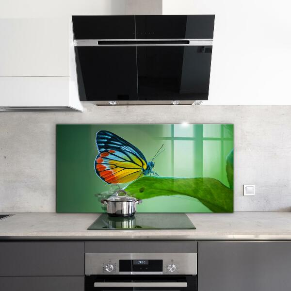Kitchen wall panels Butterfly resting on a leaf