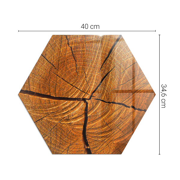 Hexagonal corner glass hearth Wood grain in cross-section
