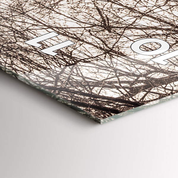 Modern vertical wall clock Forest path in sepia