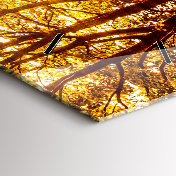 Modern vertical wall clock Forest landscape in the sun