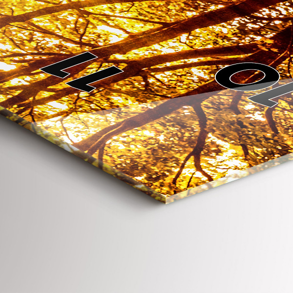 Modern vertical wall clock Forest landscape in the sun