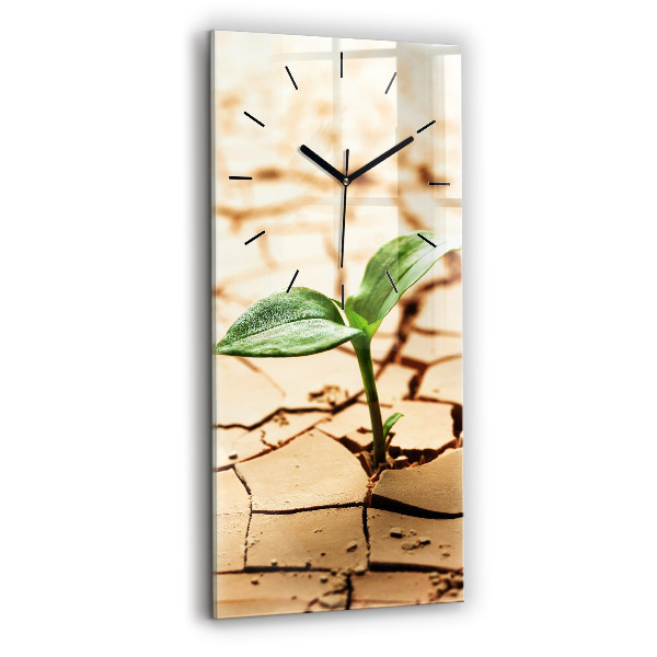 Modern vertical wall clock Plant in dry soil