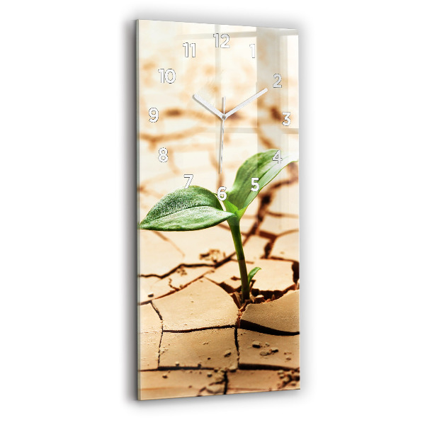 Modern vertical wall clock Plant in dry soil