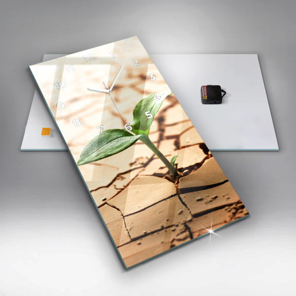 Modern vertical wall clock Plant in dry soil