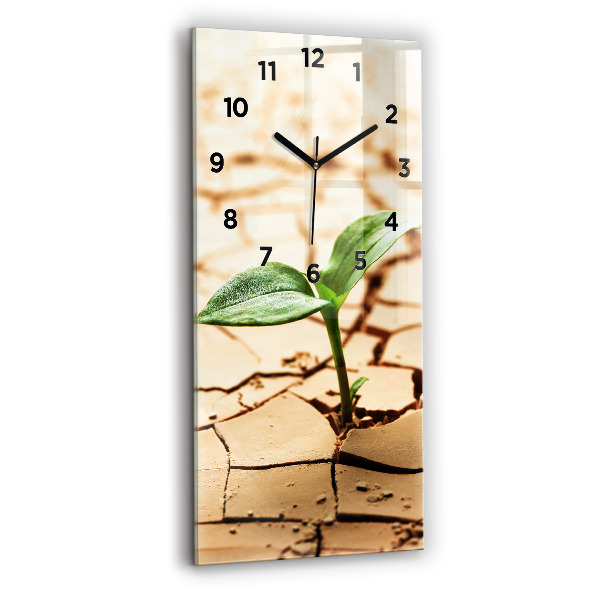 Modern vertical wall clock Plant in dry soil