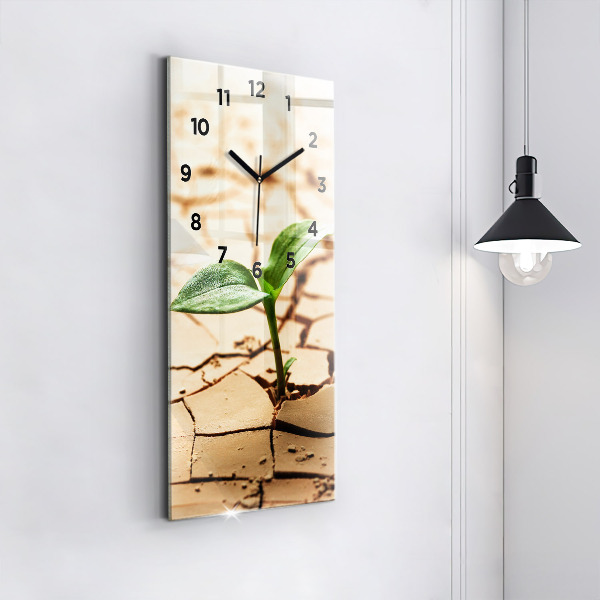 Modern vertical wall clock Plant in dry soil