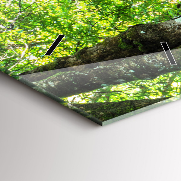 Modern vertical wall clock Waterfall in the forest