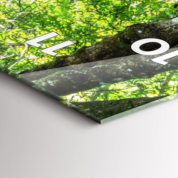 Modern vertical wall clock Waterfall in the forest