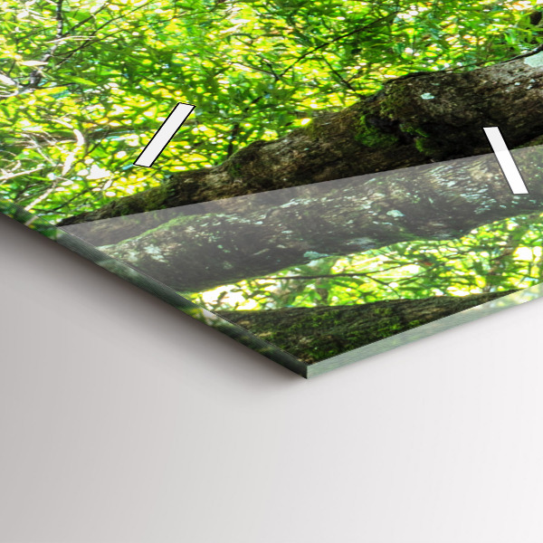 Modern vertical wall clock Waterfall in the forest