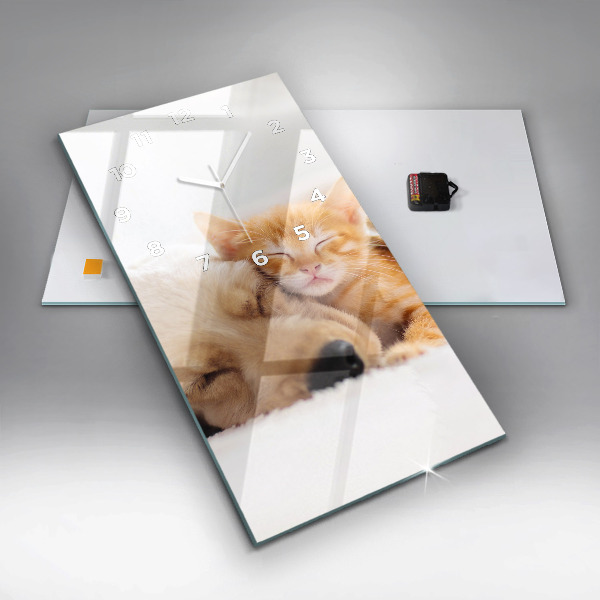 Modern vertical wall clock Sleeping cat and dog