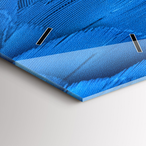 Modern vertical wall clock Bird feather