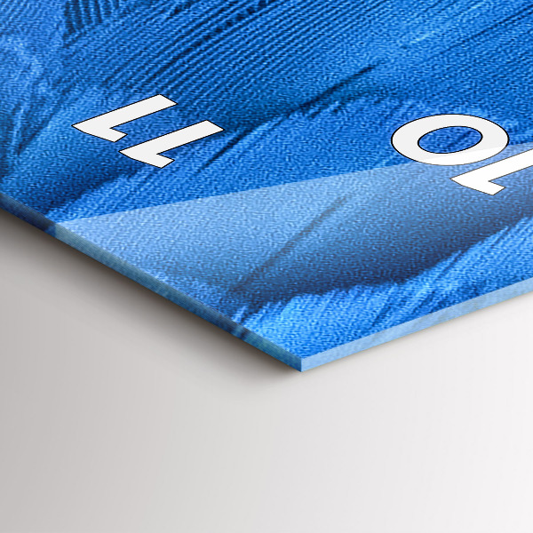 Modern vertical wall clock Bird feather