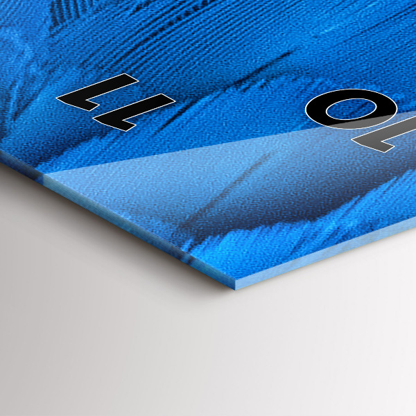 Modern vertical wall clock Bird feather