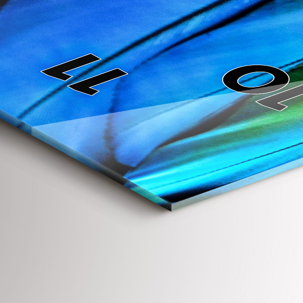 Modern vertical wall clock Colorful bird wings