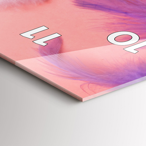 Modern vertical wall clock Colorful feathers