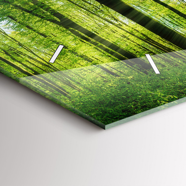 Glass wall clock rectangular Nature forest trees
