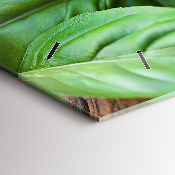 Glass wall clock rectangular Basil leaves