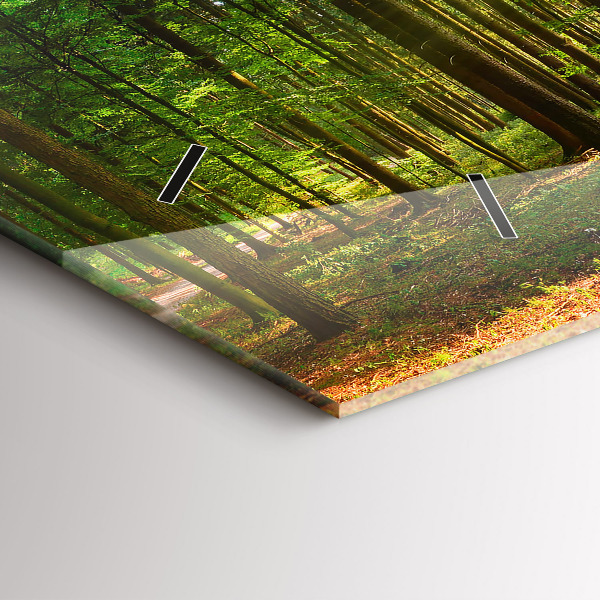 Glass wall clock rectangular Forest sunrise