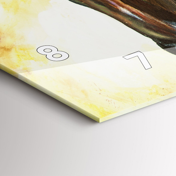 Glass wall clock rectangular Two painted horses