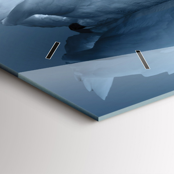 Glass wall clock rectangular Swans in the heart