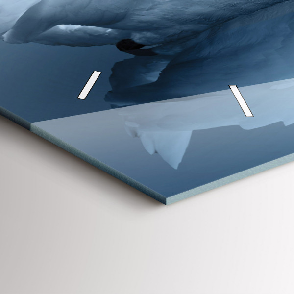 Glass wall clock rectangular Swans in the heart